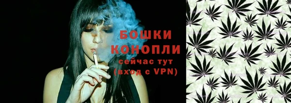 PSILOCYBIN Медногорск