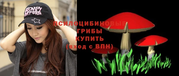 PSILOCYBIN Медногорск
