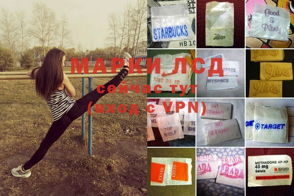 PSILOCYBIN Медногорск