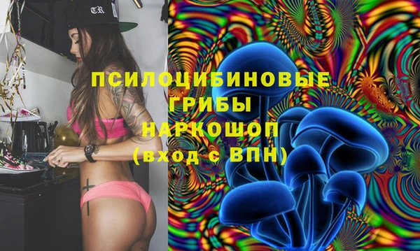 PSILOCYBIN Медногорск