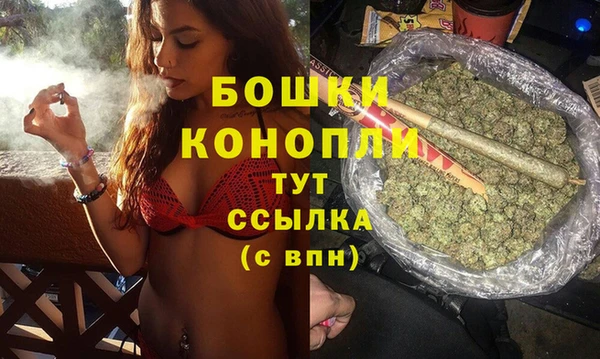 PSILOCYBIN Медногорск