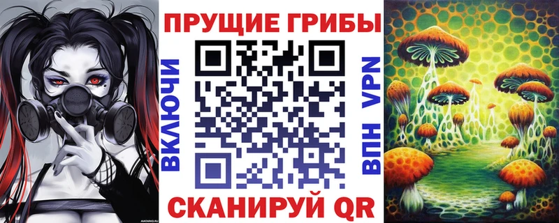 Псилоцибиновые грибы Psilocybine cubensis  МЕГА вход  Сосенский  дарнет шоп 